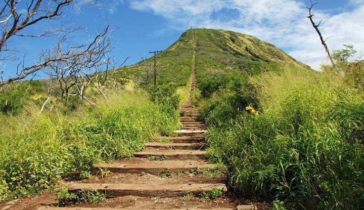 Koko Crater Trail